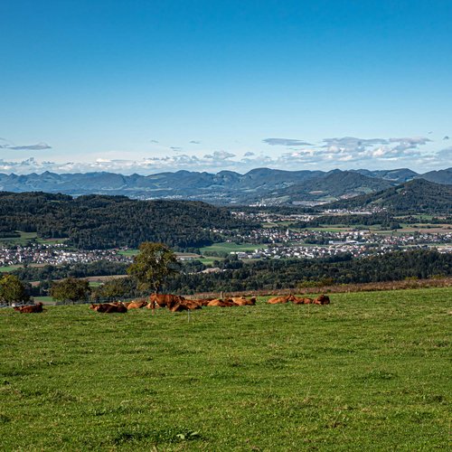 Route 3 – Reusstal Ost