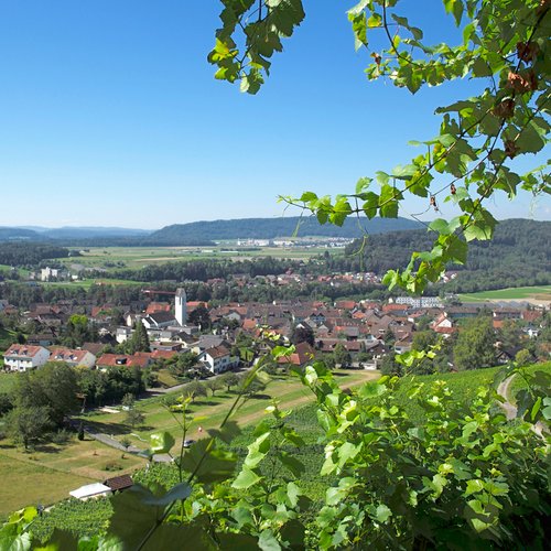 Gesellschaft, Wohnen, Gesundheit