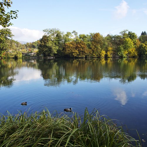 Landschaft, Natur & Umwelt